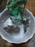行湘水生蓮花碗蓮種子睡蓮水培植物 蓮花混色30粒+塑料盆+泥 源頭直發(fā) 曬單實(shí)拍圖