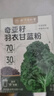 同仁堂（TRT）奇亞籽羽衣甘藍粉 控體青汁早餐代餐飽腹膳食纖維健身伴侶60g 曬單實(shí)拍圖