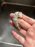 1號(hào)會(huì)員店泰國(guó)原裝進(jìn)口黑虎蝦仁 0添加保水劑 低脂去蝦線 908G（60-80只） 曬單實(shí)拍圖