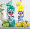 花王（KAO）免刷洗潔廁靈500ml*2瓶 廁所馬桶清潔劑強(qiáng)力去污去尿堿除垢潔廁液 曬單實(shí)拍圖