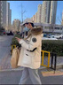 辭意輕奢品牌冬季新款極寒防風(fēng)保暖情侶羽絨服短款男女工裝大毛領(lǐng)外套 黑色 【常規款】 （磁吸兜扣+貉子真毛領(lǐng)） L 曬單實(shí)拍圖