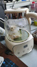 蘇泊爾（SUPOR）養(yǎng)生壺 燒水壺1L迷你養(yǎng)生杯 全玻璃 煮茶器 恒溫壺 家用煮茶熱水壺保溫全玻璃SW-10Y05Q 曬單實拍圖