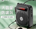 惠普（HP）LS251小蜜蜂擴(kuò)音器教師用揚(yáng)聲器導(dǎo)游腰掛麥克風(fēng)藍(lán)牙小喇叭音響插卡便攜喊話教學(xué)講課 黑色 曬單實(shí)拍圖