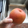 諸氏橙品【順豐】梨子 云南九月太陽(yáng)紅梨 蘋(píng)果味秋香梨 當季水果中秋禮盒 3.5斤中小果家庭裝【約12-16個(gè)】 曬單實(shí)拍圖