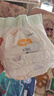 宜嬰新夢(mèng)想家全包臀小內(nèi)褲3XL32片拉拉褲超薄【品牌直供 安心品質(zhì)】 曬單實(shí)拍圖