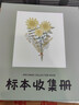 曇蓓漫植物標本收集冊?xún)和瘜W(xué)生DIY樹(shù)葉干花相冊創(chuàng  )意覆膜粘貼式手工相框 【小號/A5】尺寸：22*9.5*4cm 【封面太陽(yáng)花】20張/40面 曬單實(shí)拍圖