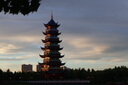 五臺(tái)山108顆六道木念珠手串平安轉(zhuǎn)運(yùn)降龍木佛珠文玩手鏈七夕送男友禮物 六道木108顆念珠串 曬單實(shí)拍圖