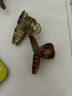 4CM果凍色半透明小抓夾半扎發(fā)小號鯊魚(yú)夾甜美交叉碎發(fā)夾 TS53-果凍色小抓夾2個(gè)隨機 曬單實(shí)拍圖