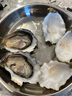 吉娜朵鮮活法國進(jìn)口活體生蠔12只N0/N1空運生鮮牡蠣 即食刺身 源頭直發(fā) 12N1 曬單實(shí)拍圖
