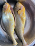 三都港 冷凍寧德大黃魚700g/2條裝 黃花魚 生鮮魚類 深海魚 燒烤 曬單實拍圖