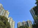 南孚7號(hào)電池12粒 七號(hào)堿性 聚能環(huán)5代 適用遙控器/體脂秤/血壓計(jì)/計(jì)算器/無(wú)線鼠標(biāo)/耳溫槍/血糖儀等 曬單實(shí)拍圖