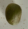 京覓 蒲江紅心獼猴桃奇異果24枚單果70-90g 生鮮水果現(xiàn)摘現(xiàn)發(fā)源頭直發(fā) 曬單實拍圖