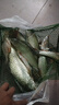 川澤短子線雙鉤升級金袖魚鉤成品綁好套裝淺水野釣防纏繞海夕鉤鯽魚鉤 金袖有刺32cm【鉤3/4線0.4/0.6】 子線雙鉤20付/盒 曬單實(shí)拍圖