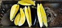 美廚（maxcook）304不銹鋼玻璃調(diào)料調(diào)味罐 撒鹽瓶撒粉罐子糖粉燒烤撒料瓶MCTC1372 曬單實(shí)拍圖
