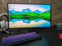 華碩ROG 超殺27 國家補貼15% 27英寸OLED顯示器2K電競顯屏幕 280Hz 真10bit 可調節HDR XG27ACDMS 2K280Hz OLED屏 曬單實(shí)拍圖