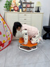 波比超人兒童感統訓練旋轉椅子前庭平衡訓練器材家用幼兒園早教旋轉盤(pán)玩具 【橘紅色】花朵感統旋轉椅 曬單實(shí)拍圖