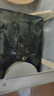 龜真壽  中華草龜專(zhuān)用糧300g  龜糧 高蛋白易吸收適口性強 曬單實(shí)拍圖