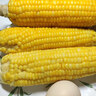 【精品甜玉米】新鮮水果玉米現(xiàn)摘嫩玉米甜水果玉米營養(yǎng)早餐爆汁 1.8-2斤帶箱 2-3根 300g起/根 曬單實拍圖