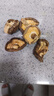 香菇新貨古田農家肉厚無(wú)根香菇新蘑菇蛹蟲(chóng)草冬菇 [高品質(zhì)靚貨](méi)高山:香菇干(新 精選凈重:菇美味(500-505.7克 曬單實(shí)拍圖
