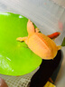 金魚（Jinyu）【精品高質(zhì)】蘭壽金魚淡水錦鯉觀賞魚國粹耐活好養(yǎng) 蘭壽+泰獅+頂紅 各1條4-5CM 曬單實(shí)拍圖