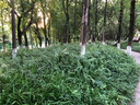 京冇煤燃氣灶支架防風聚火節(jié)能罩防滑鍋架灶臺架托爐具灶頭支架子 曬單實拍圖