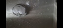 BOXLAMP星空燈音樂(lè )盒 臥室星空投影燈氛圍燈 禮物送女生兒童生日小夜燈 星空音樂(lè )盒中配8張再送4張星盤(pán) 曬單實(shí)拍圖