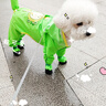 可牽引小狗狗四腳雨衣防水全包連腳小型犬比熊泰迪寵物雨天衣服 升級藍(lán)色云朵【包腳包尾可牽引】 L （建議體重9-12斤） 曬單實(shí)拍圖
