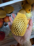 佳沛（zespri）新西蘭 陽(yáng)光金奇異果12粒禮盒特大果單果約122-146g 獼猴桃 水果 曬單實(shí)拍圖