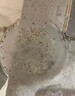 四季雙能糧食儲存防蟲(chóng)藥家用玉米小麥稻谷倉庫存糧防蛀蟲(chóng)藥驅糧蟲(chóng)專(zhuān)用克星 三包60袋【商店用】買(mǎi)2送1 曬單實(shí)拍圖