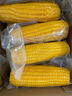 佳農(nóng) 內(nèi)蒙黃糯玉米棒8袋*220g 軟糯香甜 真空鎖鮮 源頭直發(fā) 禮盒包郵 曬單實(shí)拍圖