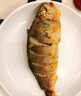 三都港 寧德鮮凍原條黃花魚(yú)凈重2斤/2條 寧德大黃魚(yú) 生鮮 中秋 曬單實(shí)拍圖