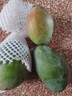 京覓四川攀枝花凱特芒 芒果凈重4.5-5斤單果400g起 新鮮水果源頭直發(fā) 曬單實(shí)拍圖