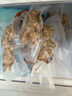 摩飛電器（Morphyrichards） 全自動(dòng)抽真空封口機家用食品包裝機零食密封機水果蔬菜肉類(lèi)保鮮機干濕兩用塑封機MR1118 MR1118標配【密封不漏氣】 曬單實(shí)拍圖