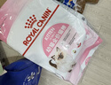 皇家貓糧?幼貓貓糧?干濕搭配?K36 4.5kg+啫喱肉凍KJP 85G*3 曬單實(shí)拍圖