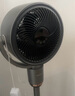 夏普空氣循環(huán)扇電風扇家用驅(qū)蚊直流變頻新款電扇大風力渦輪暴風落地扇對流凈化除菌循環(huán)風扇遙控3D搖頭 CD420A-C【升級款】語音+離子群+濾網(wǎng)凈化 曬單實拍圖