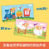 聽(tīng)，什么聲音 原聲觸摸發(fā)聲書(shū)（套裝全6冊）0-3歲嬰幼兒寶寶觸摸認知雙語(yǔ) 會(huì )說(shuō)話(huà)的早教啟蒙有聲書(shū) 步步聯(lián)盟出品暑假作業(yè) 一升二暑假銜接 小升初暑假銜接 曬單實(shí)拍圖