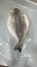 海名威 冷凍三去海鱸魚880g/2條 (配料包) 海魚 生鮮魚類 海鮮水產(chǎn)  曬單實(shí)拍圖