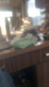 領(lǐng)先領(lǐng)先烘焙貓糧成貓糧幼貓雞肉羊奶低溫烘干貓主糧高蛋白益生菌養(yǎng)胃 烘焙【羊奶雞口味】1.5kg 曬單實(shí)拍圖
