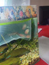 墨之瑤麗麗魚(yú)曼龍魚(yú)活體熱帶魚(yú)觀(guān)賞魚(yú)活體練手魚(yú)不打氧金魚(yú)新手魚(yú)好養活 4-5厘米五彩和血麗麗混搭4條 曬單實(shí)拍圖