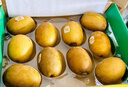 佳沛（zespri）新西蘭  陽(yáng)光金奇異果10粒禮盒巨大果單果約144-175g 水果 獼猴桃 曬單實(shí)拍圖