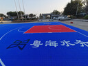 利德（LIDE） 室外懸浮地板籃球場(chǎng)地墊羽毛球乒乓網(wǎng)球幼兒園拼裝運(yùn)動(dòng)地板地墊 懸浮地板【免費(fèi)拿樣】 曬單實(shí)拍圖