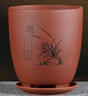 價(jià) 蘭花苗春蘭 豆瓣蘭 紅河紅  自然蘭花苗室 1苗價(jià)格 不含盆 曬單實(shí)拍圖