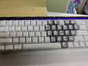 MelGeekMADE68 PRO+磁軸鍵盤(pán)TTC萬(wàn)磁王紫心軸RT0.01電競游戲客制化機械無(wú)畏契約打瓦小蜜蜂情侶 MADE68 PRO+紫光【紫心軸】 有線(xiàn)MelGeek 68鍵 曬單實(shí)拍圖