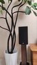 意力（ELAC） Debut2.0系列 DB62 無源書架音箱發(fā)燒級(jí)音響套裝桌面HIFI音響高保真 6.5寸 DB62胡桃木一對(duì) 曬單實(shí)拍圖