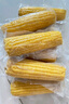 十月稻田 黃糯玉米 3.52斤(220g*8根) 25年新玉米 低脂 早餐零食 東北玉米 曬單實(shí)拍圖