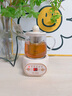 小南瓜養(yǎng)生壺多功能全自動(dòng)煮茶器迷你家用燒水壺電熱水壺恒溫壺茶壺家電茶壺?zé)骷逅帀刂笏畨夭Ａ?頂配款【配濾網(wǎng)+杯墊+勺子】 0.5L 曬單實(shí)拍圖