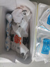 魯南順發(fā)黑豬排骨 （含脆骨10%） 凈重4斤  源頭直發(fā) 曬單實(shí)拍圖