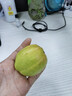 京鮮生 新疆庫爾勒香梨6粒 二級果 單果80-100g 生鮮水果 曬單實(shí)拍圖