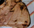 天福號醬鹵豬肘子肉100g 熟食臘味醬鹵 早餐食材 下酒涼菜  中華老字號 曬單實(shí)拍圖