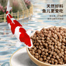 淘歌錦鯉飼料魚(yú)糧螺旋藻主食成魚(yú)觀(guān)賞魚(yú)飼料冷水魚(yú)不渾水魚(yú)食 主食5kg 曬單實(shí)拍圖